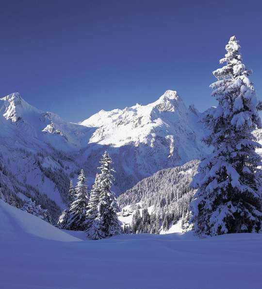 Winterberge in Vorarlberg