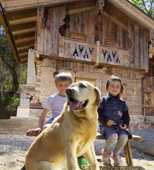 Hüttenurlaub mit Hund