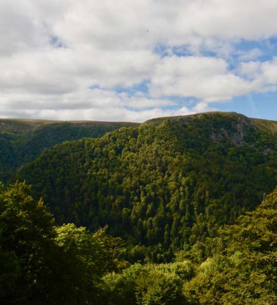 Vogesen im Elsass, Frankreich