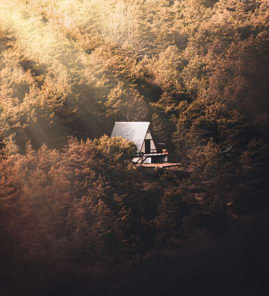 Haus inmitten eines Waldes