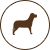 Symbol Hütte erlaubt Haustiere
