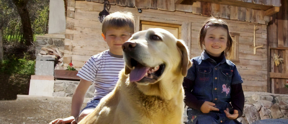 Hüttenurlaub mit Hund